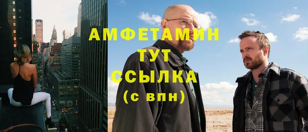 стаф Верея