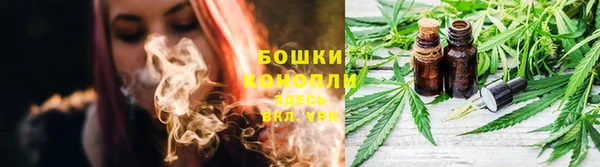 СК Бородино