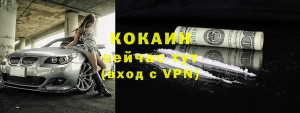 прущие грибы Верхний Тагил